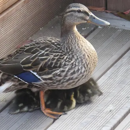Chambres D'hotes Le Loft 13