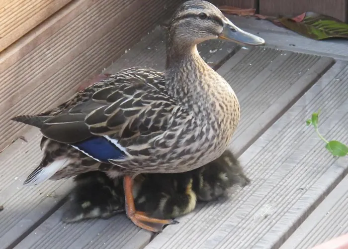 Chambres D'hotes Le Loft 13